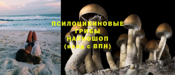 спиды Бронницы
