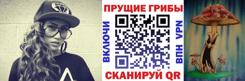 Купить  Медногорск  Псилоцибиновые грибы ЛСД 